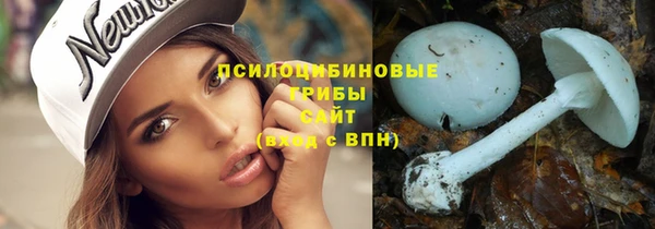 ешки Богданович