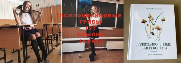 метамфетамин Богородицк