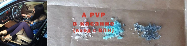 ешки Богданович