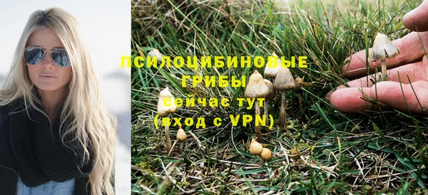 ешки Богданович