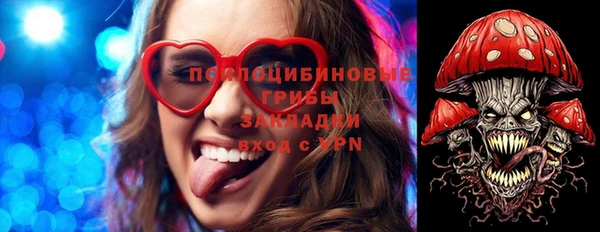 ешки Богданович