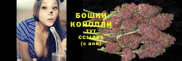 ешки Богданович