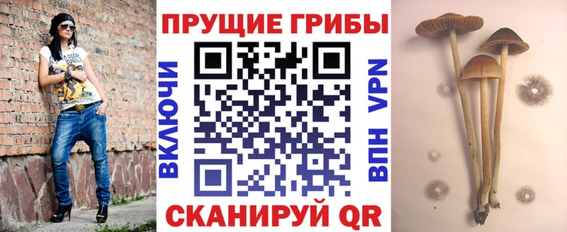 магазин наркотиков Называевск Галлюциногенные грибы Psilocybe